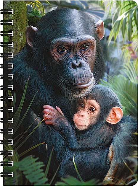 3D LiveLife Jotters - Cute Cuddles