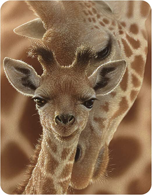 3D LiveLife Magnets - Newborn