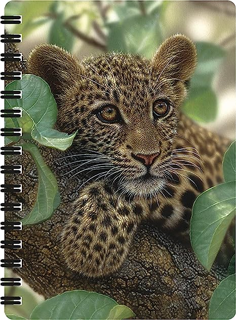 3D LiveLife Jotters - Tree Hugger