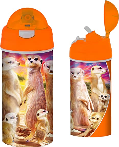 3D LiveLife Drinking Bottles - Cool Meerkats