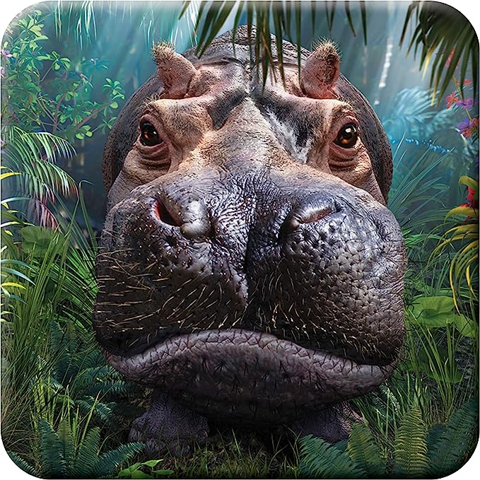 3D LiveLife Coasters - Close Encounter