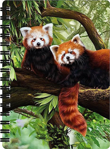 3D LiveLife Jotters - Red Pandas