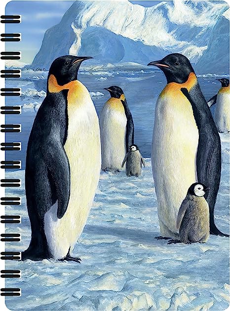 3D LiveLife Jotters - Antarctic Majesty