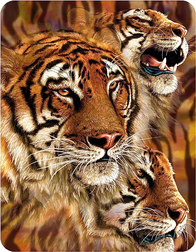 3D LiveLife Magnets - Tiger Stripes