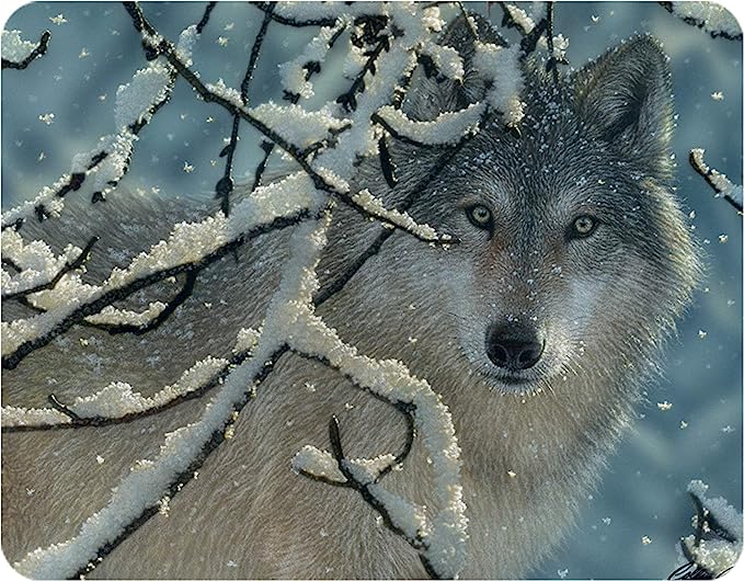 3D LiveLife Magnets - Broken Silence