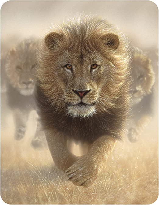 3D LiveLife Magnets - Eat My Dust