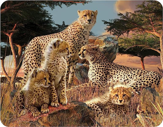 3D LiveLife Magnets - Cheetah Clan