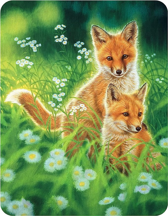 3D LiveLife Magnets - Spring Foxes