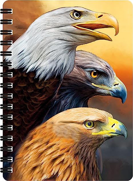 3D LiveLife Jotters - Three Eagles