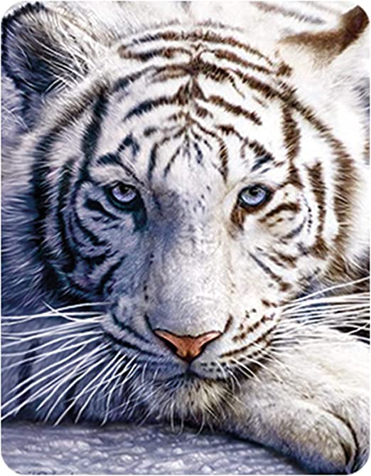3D LiveLife Magnets - White Tiger Repose