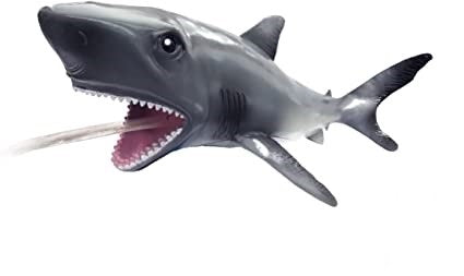 Bath Squirts - Shark