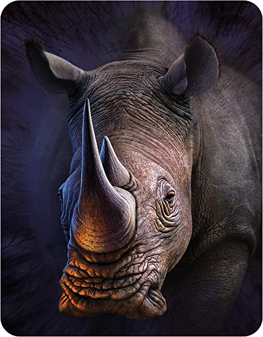 3D LiveLife Magnets - White Rhino