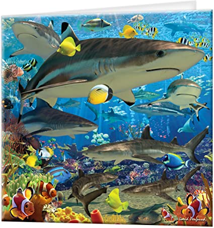 3D LiveLife Greetings Cards - Shark Reef