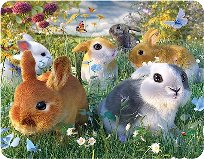 3D LiveLife Magnets - Bunnies