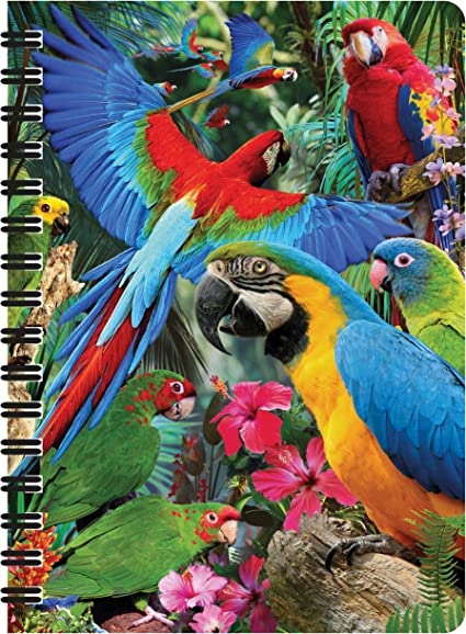 3D LiveLife Jotters - Parrot Pandemonia