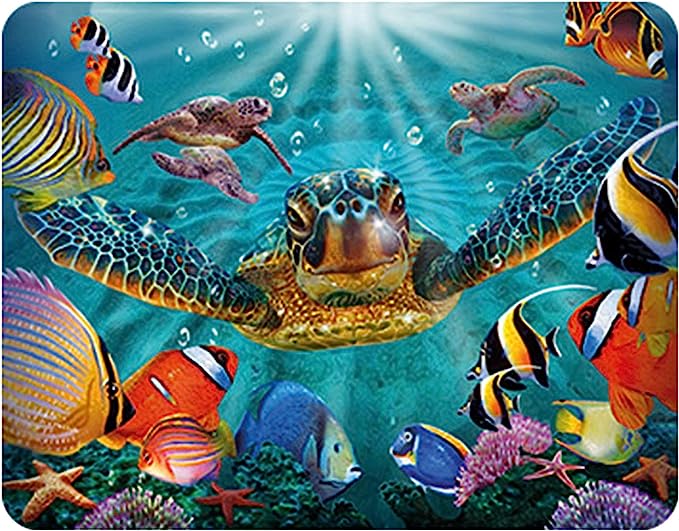 3D LiveLife Magnets - Tiny Bubbles