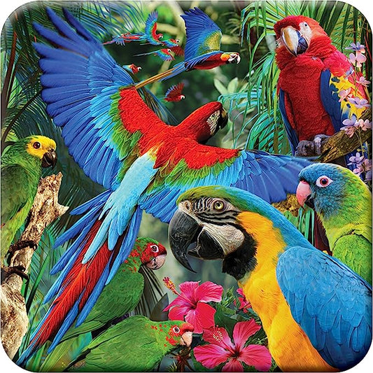 3D LiveLife Coasters - Parrot Pandemonia