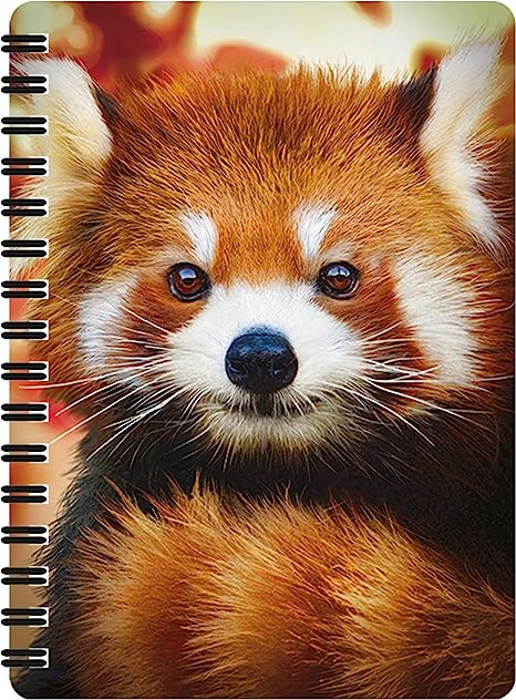 3D LiveLife Jotters - Baby Red Panda