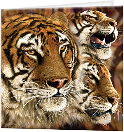 3D LiveLife Greetings Cards - Tiger Stripes