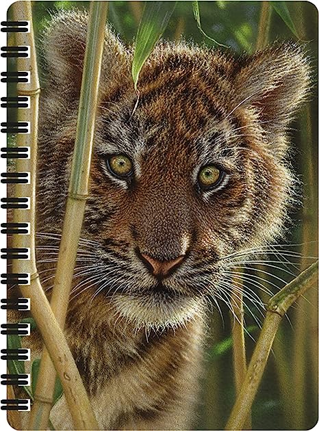 3D LiveLife Jotters - Discovery