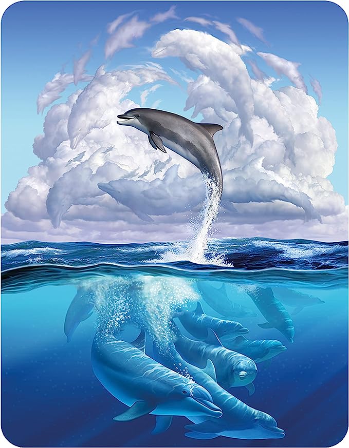 3D LiveLife Magnets - Dolphin Symphony
