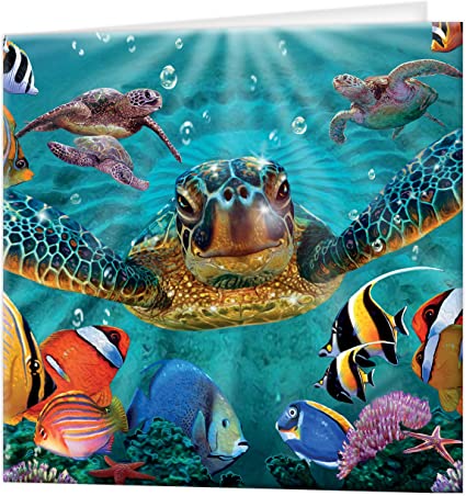 3D LiveLife Greetings Cards - Tiny Bubbles