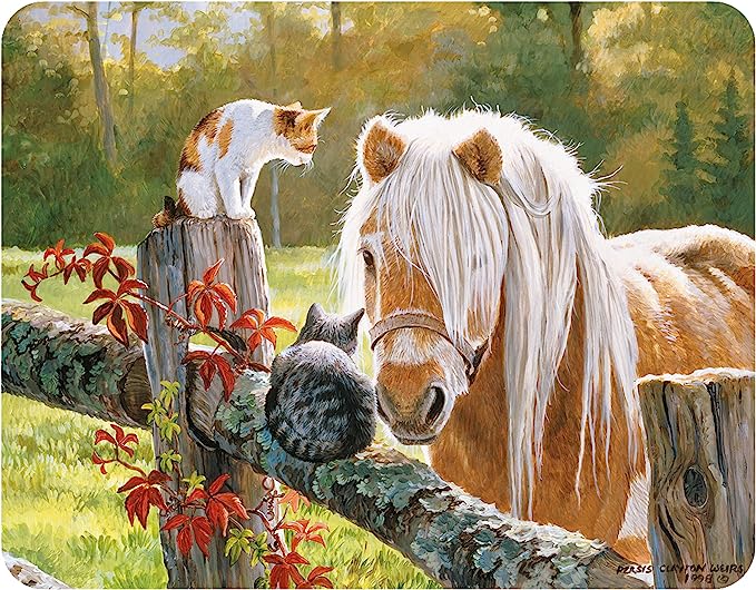 3D LiveLife Magnets - Just Visiting