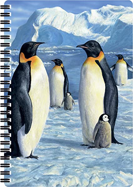 3D LiveLife Notebooks - Antarctic Majesty