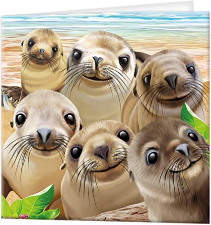 3D LiveLife Greetings Cards - Sea Lion Snap