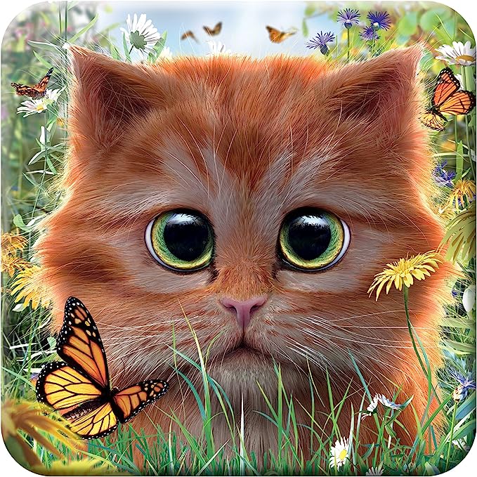 3D LiveLife Coasters - Ginger Kitten