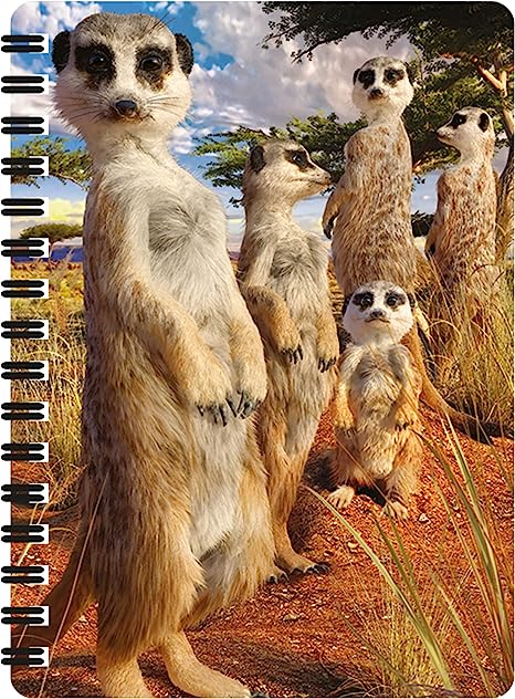3D LiveLife Jotters - Meerkat Gaze
