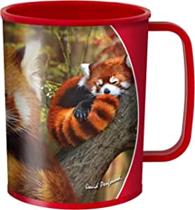 3D LiveLife Cups - Baby Red Panda