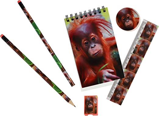 Wild Stationery Set - Orangutan
