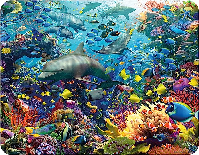 3D LiveLife Magnets - Dolphin Delight