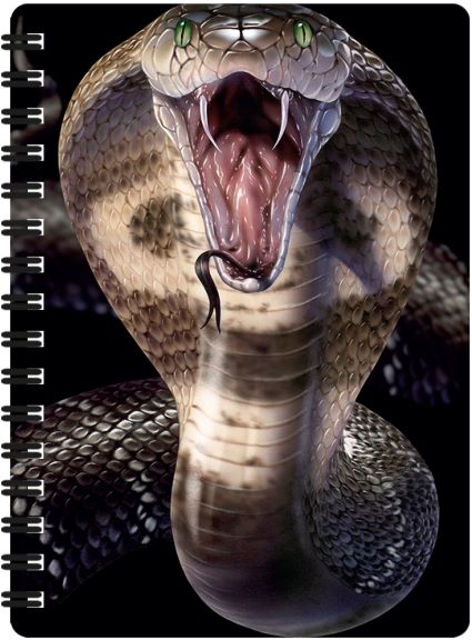 3D LiveLife Jotters - Cobra