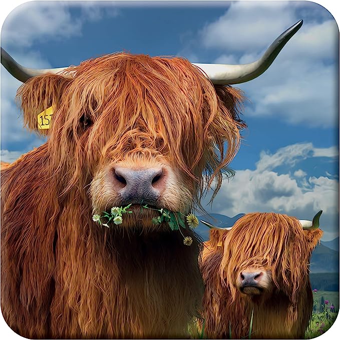 3D LiveLife Coasters - Highland Cattle