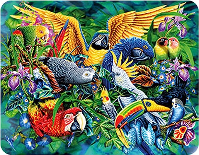 3D LiveLife Magnets - Birds of the Tropics