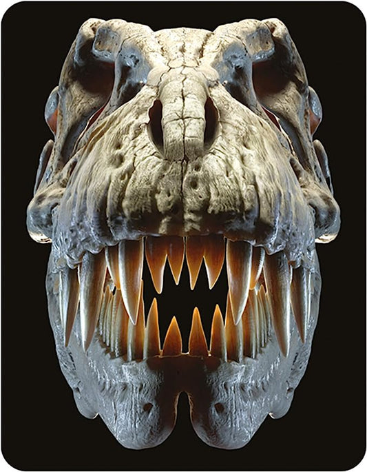 3D LiveLife Magnets - T-Rex Skull