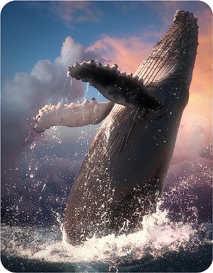 3D LiveLife Magnets - Whale Jump