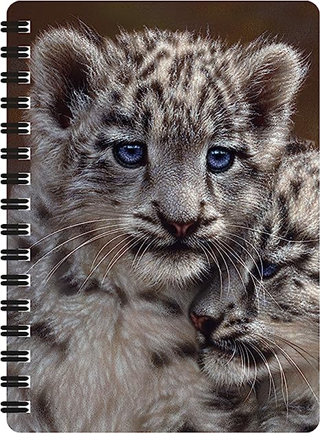 3D LiveLife Jotters - Playmates