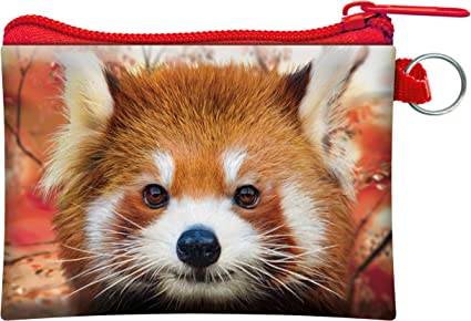 3D LiveLife Coin Purse - Baby Red Panda