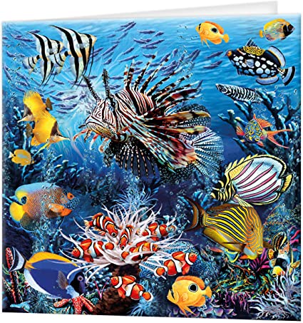 3D LiveLife Greetings Cards - Wonders of the Reef
