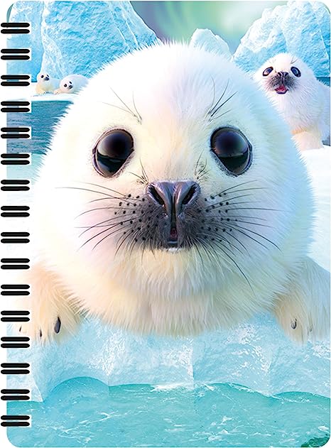 3D LiveLife Jotters - Seal Pups