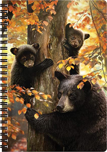 3D LiveLife Notebooks - A Mother's Watch