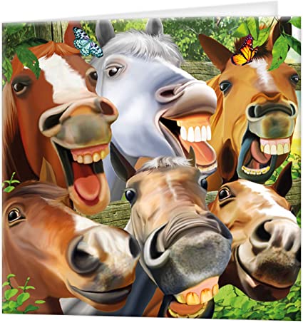 3D LiveLife Greetings Cards - Horsing Around