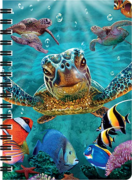 3D LiveLife Jotters - Tiny Bubbles