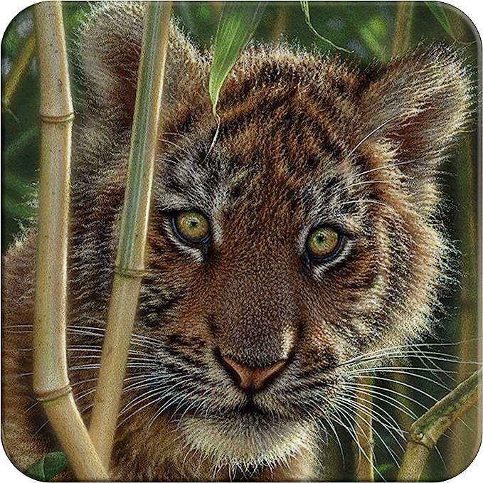 3D LiveLife Coasters - Discovery