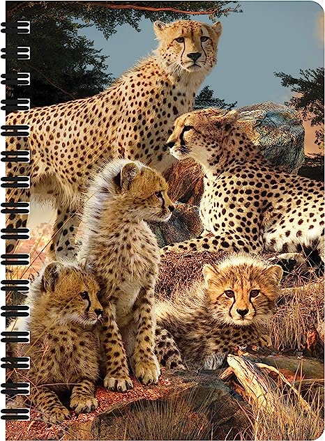 3D LiveLife Jotters - Cheetah Clan