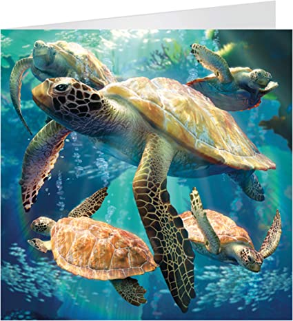 3D LiveLife Greetings Cards - Sea Turtle Swim