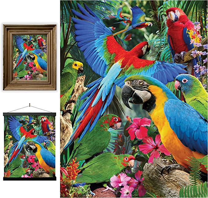 3D LiveLife Pictures - Parrot Pandemonia